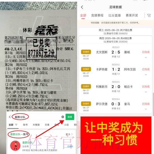 世界杯下注平台数据分析趋势与洞察